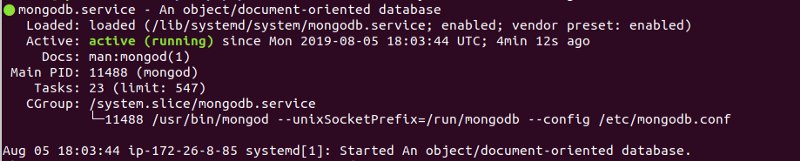 Running MongoDB